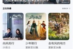 91在线视频国产,国产生态下的创新与崛起